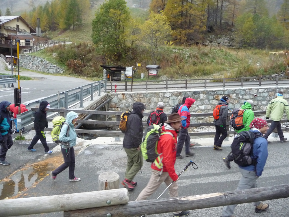3_UEEoct2014_torrent_Lys