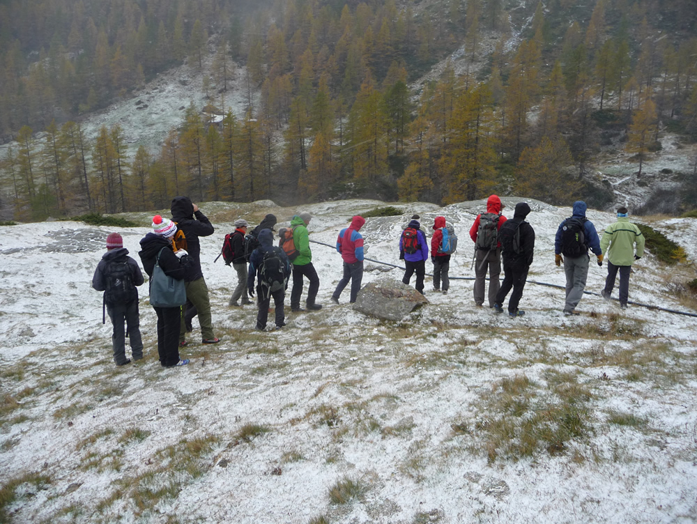 7_UEEoct2014_torrent_Lys