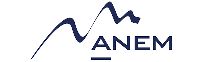 logo ANEM